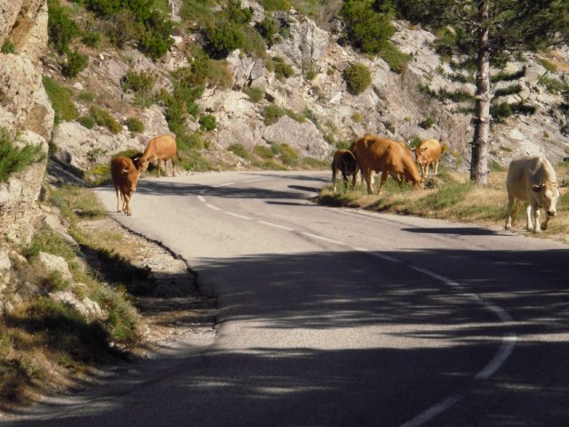 Vacances à moto en Corse 2009